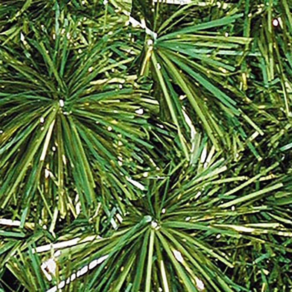 Christmas Designers 14/4-2 Royal Pine Garland 3 Christmas Designers 14/4-2 Royal Pine Garland