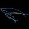 9' X 16' Mama Whale & Calf, LED -Christmas Decor Sale 1 34583 000 led
