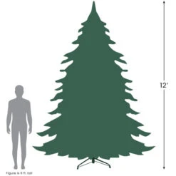Northlight 12' Full Buffalo Fir Artificial Christmas Tree - Unlit 9 Northlight 12' Full Buffalo Fir Artificial Christmas Tree - Unlit -Christmas Decor Sale 1227 65526.1724289805