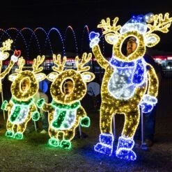 6' 8" 2D LED Papa Deer - Photo Op Display 11 6' 8" 2D LED Papa Deer - Photo Op Display -Christmas Decor Sale 2d bdeer5 and 2d mdeer6 and 2d fdeer68 3 1