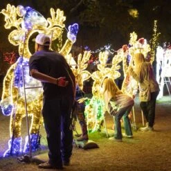 5' 2D LED Baby Deer - Photo Op Display 9 5' 2D LED Baby Deer - Photo Op Display -Christmas Decor Sale 2d bdeer5 and 2d mdeer6 and 2d fdeer68 l