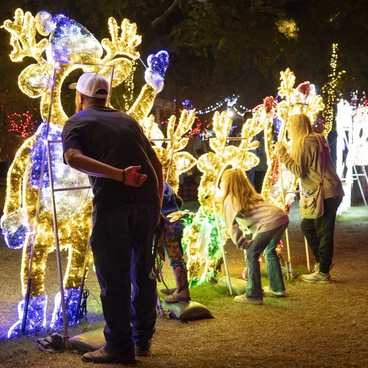 5' 2D LED Baby Deer - Photo Op Display 6 5' 2D LED Baby Deer - Photo Op Display - Image 4