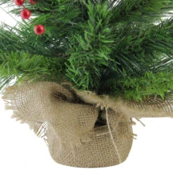 Northlight Mixed Cashmere Berry Pine Medium Artificial Christmas Tree - 24" - Unlit -Christmas Decor Sale 4fszc7qvvh13bkrz4obzvfcqiilqrfuf 15414.1665580316