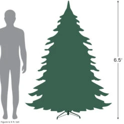 Northlight Real Touch™? Slim Layered Nordmann Fir Artificial Christmas Tree - Unlit - 6.5' -Christmas Decor Sale 6.527 40894.1697819517