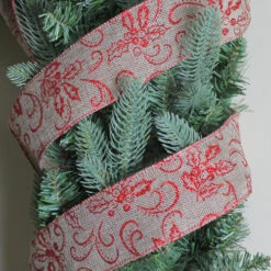 Northlight Red And Beige Christmas Wired Craft Ribbon 2.5" X 10 Yards -Christmas Decor Sale a5lhdsokoxrs22lktugsitw2nrxyh11q 56627.1588869815