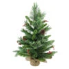 Northlight Mixed Cashmere Berry Pine Medium Artificial Christmas Tree - 24" - Unlit 1 Northlight Mixed Cashmere Berry Pine Medium Artificial Christmas Tree - 24" - Unlit -Christmas Decor Sale b1jjxyjwpncjdqkv8uqayyqeifwljqbh 28317.1587644072