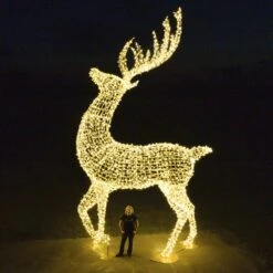 24' Deer 15 24' Deer -Christmas Decor Sale dji 0055 copy