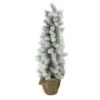 Northlight 2ft Potted Flocked Mini Pine Slim Christmas Tree With Berries - Unlit -Christmas Decor Sale iufjbtciuvh8sdlatpquizke0rqpf1o2 08148.1588357296