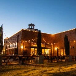 Medium Base Cord- Suspended - 330' - Black Cord - 24" Spacing 12 Medium Base Cord- Suspended - 330' - Black Cord - 24" Spacing -Christmas Decor Sale ll mbs commercial patio 1