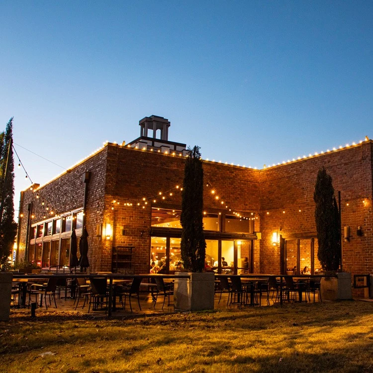 Medium Base Cord- Suspended - 330' - Black Cord - 24" Spacing 6 Medium Base Cord- Suspended - 330' - Black Cord - 24" Spacing - Image 4