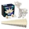 Light Line Kit - SPT-1 C9 25' White Cord, 12" Spacing, 25 Warm White Bulbs, With 2 Male And Female Slide On Plugs