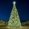 Christmas Designers 28' Majestic Tree-5mm Wide Angle Conical LED-Pure White -Christmas Decor Sale mmp tree 40