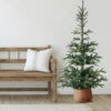 Northlight Real Touch™? Pre-Lit Pencil Nordmann Fir Artificial Christmas Tree - 6.5' - Warm Clear LED Lights -Christmas Decor Sale northlight j00086 stylized feb22 2024 06096.1724116777
