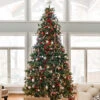 Northlight 10' Pre-Lit Full Northern Pine Artificial Christmas Tree, Multi Lights -Christmas Decor Sale northlight z84462 stylized 9ef80a213ef80a22024 63786.1726539043