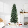 Real Touch™? Slim Washington Frasier Fir Artificial Christmas Tree - Unlit - 6.5' 1 Real Touch™? Slim Washington Frasier Fir Artificial Christmas Tree - Unlit - 6.5' -Christmas Decor Sale northlight20b03890 02 stylized20image 8 14 24 22111.1724116777