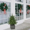 Northlight Real Touch™? Pre-Lit Potted Deluxe Russian Pine Artificial Christmas Tree - 4' - Warm White LED Lights -Christmas Decor Sale northlight20gb20ytp456 gr stylized 9 20 24 94626.1727231162