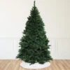 Northlight 12' Full Buffalo Fir Artificial Christmas Tree - Unlit 1 Northlight 12' Full Buffalo Fir Artificial Christmas Tree - Unlit -Christmas Decor Sale northlight20z99615 02 stylized20image 8 19 24 98431.1724289805