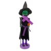 Witch Jack-O-Lantern Halloween Nutcracker With Broom - 14" - Black And Green 2 Witch Jack-O-Lantern Halloween Nutcracker With Broom - 14" - Black And Green -Christmas Decor Sale northlight 97162updated 10782.1665610739
