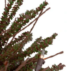 2' Pre-Lit Medium Potted Warsaw Twig Artificial Christmas Tree - Clear Lights 13 2' Pre-Lit Medium Potted Warsaw Twig Artificial Christmas Tree - Clear Lights -Christmas Decor Sale northlight b03907 4 16085.1608088099