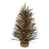 2' Pre-Lit Medium Potted Warsaw Twig Artificial Christmas Tree - Clear Lights -Christmas Decor Sale northlight b03909 07285.1622640326
