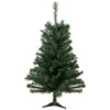 Northlight Medium Blackwater Fir Artificial Christmas Tree - 2' - Unlit