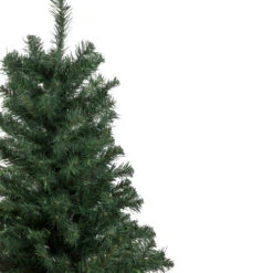 Northlight Medium Blackwater Fir Artificial Christmas Tree - 2' - Unlit 9 Northlight Medium Blackwater Fir Artificial Christmas Tree - 2' - Unlit -Christmas Decor Sale northlight b83527 2update 02588.1665590918