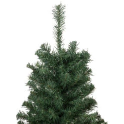 Northlight Medium Blackwater Fir Artificial Christmas Tree - 2' - Unlit 10 Northlight Medium Blackwater Fir Artificial Christmas Tree - 2' - Unlit -Christmas Decor Sale northlight b83527 3update 55993.1665590918