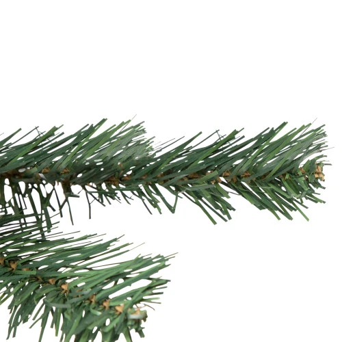 Northlight Medium Blackwater Fir Artificial Christmas Tree - 2' - Unlit 4 Northlight Medium Blackwater Fir Artificial Christmas Tree - 2' - Unlit - Image 2