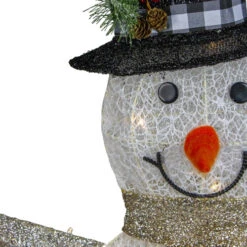 Northlight 49" White And Black LED Lighted Snowman With Top Hat Christmas Outdoor Decoration 9 Northlight 49" White And Black LED Lighted Snowman With Top Hat Christmas Outdoor Decoration -Christmas Decor Sale northlight h87081 2 updated 55224.1665260248