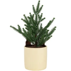 Mini Artificial Christmas Tree In Reindeer - 14.25" - Unlit -Christmas Decor Sale northlight hn95105 05 35222.1702402355