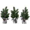 Northlight Mini Iced Pine Artificial Christmas Trees - 10" - Set Of 3
