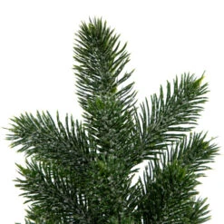 Northlight Mini Iced Pine Artificial Christmas Trees - 10" - Set Of 3 10 Northlight Mini Iced Pine Artificial Christmas Trees - 10" - Set Of 3 -Christmas Decor Sale northlight hn95109 03 91697.1702402355
