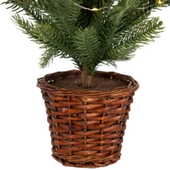 Pre-Lit Artificial Pine Christmas Tree With Basket Base - 20" - Warm White LED Lights -Christmas Decor Sale northlight hn95120 04 55340.1702142848
