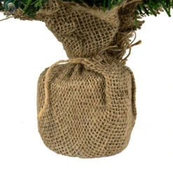 Northlight Pre-Lit Two-Tone Green Pine Artificial Christmas Tree In Burlap - 18" - Clear LED Lights -Christmas Decor Sale northlight j00065 4 85085.1644973047