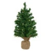 Northlight Pre-Lit Two-Tone Green Pine Artificial Christmas Tree In Burlap - 18" - Clear LED Lights -Christmas Decor Sale northlight j00065 22698.1644973046