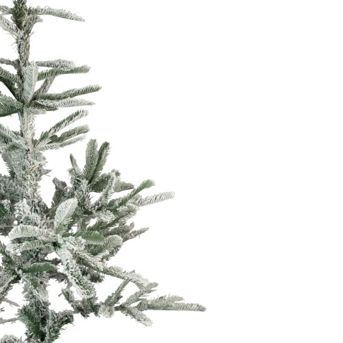 Northlight Real Touch™? Slim Flocked Nordmann Fir Artificial Christmas Tree - Unlit - 7.5' 5 Northlight Real Touch™? Slim Flocked Nordmann Fir Artificial Christmas Tree - Unlit - 7.5' - Image 3