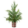 Northlight Real Touch™? Potted Iced Cedar Artificial Christmas Tree - 24" - Unlit 1 Northlight Real Touch™? Potted Iced Cedar Artificial Christmas Tree - 24" - Unlit -Christmas Decor Sale northlight jy91578 35245.1608349860