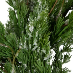 Northlight Real Touch™? Iced Cedar Artificial Christmas Wreath - 24" - Unlit -Christmas Decor Sale northlight jy91580 03 22788.1701796974