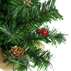 Northlight Potted Red Berries And Pine Cones Medium Artificial Christmas Tree – 16" - Unlit 8 Northlight Potted Red Berries And Pine Cones Medium Artificial Christmas Tree – 16" - Unlit -Christmas Decor Sale northlight kji91320 3 47985.1600824029