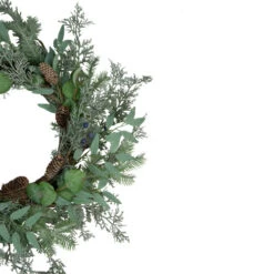 Northlight Frosted Green Mixed Foliage And Blueberries Artificial Christmas Wreath, 26-Inch, Unlit -Christmas Decor Sale northlight ll89770 2 39498.1638546376