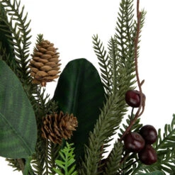 Northlight Mixed Foliage With Berries Artificial Christmas Wreath, 20-Inch, Unlit -Christmas Decor Sale northlight ll94318 3 28400.1686403317