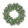 Northlight Pre-Lit Snow Mountain Pine Artificial Christmas Wreath - 30" - Clear Lights