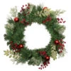 Northlight Decorated Frosted Pine And Pine Cone Artificial Christmas Wreath, 24-Inch, Unlit 1 Northlight Decorated Frosted Pine And Pine Cone Artificial Christmas Wreath, 24-Inch, Unlit -Christmas Decor Sale northlight s92648 updated 64405.1659036514