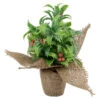 Iced Artificial Christmas Holly Berry Plant In Burlap Base - 8" -Christmas Decor Sale northlight sf93425 1 89080.1665611040