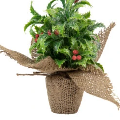 Iced Artificial Christmas Holly Berry Plant In Burlap Base - 8" -Christmas Decor Sale northlight sf93425 3 58151.1665611040