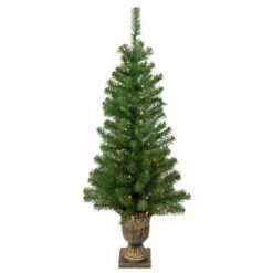 Northlight 5-Piece Pre-Lit Artificial Wolcott Spruce Christmas Entryway Set -Christmas Decor Sale northlight sm92986 tree 15985.1665611047