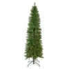 Northlight 6.5' Pre-Lit Silver Lake Fir Pencil Artificial Christmas Tree, Multi Lights -Christmas Decor Sale northlight sm92988 1 54376.1648085314