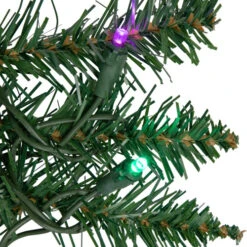 Northlight 9' X 12" Pre-Lit Winona Fir Artificial Christmas Garland, Multi LED Lights 10 Northlight 9' X 12" Pre-Lit Winona Fir Artificial Christmas Garland, Multi LED Lights -Christmas Decor Sale northlight sm93079 3 44617.1671699966