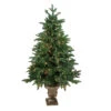 Northlight Real Touch™? Potted Sierra Norway Spruce Slim Artificial Christmas Tree - 4.5' - Clear Lights -Christmas Decor Sale northlight sp15038 93987.1665610747