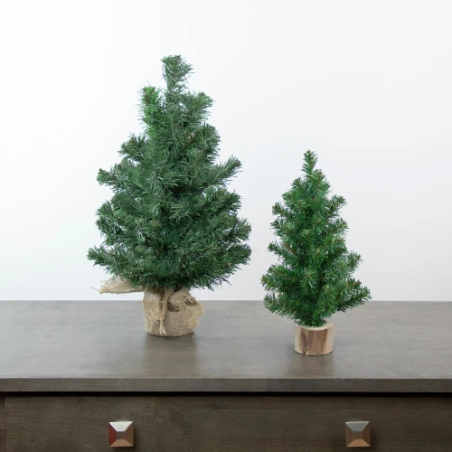 Northlight Potted Mini Pine Medium Artificial Christmas Tree - 18" - Unlit 10 Northlight Potted Mini Pine Medium Artificial Christmas Tree - 18" - Unlit - Image 8
